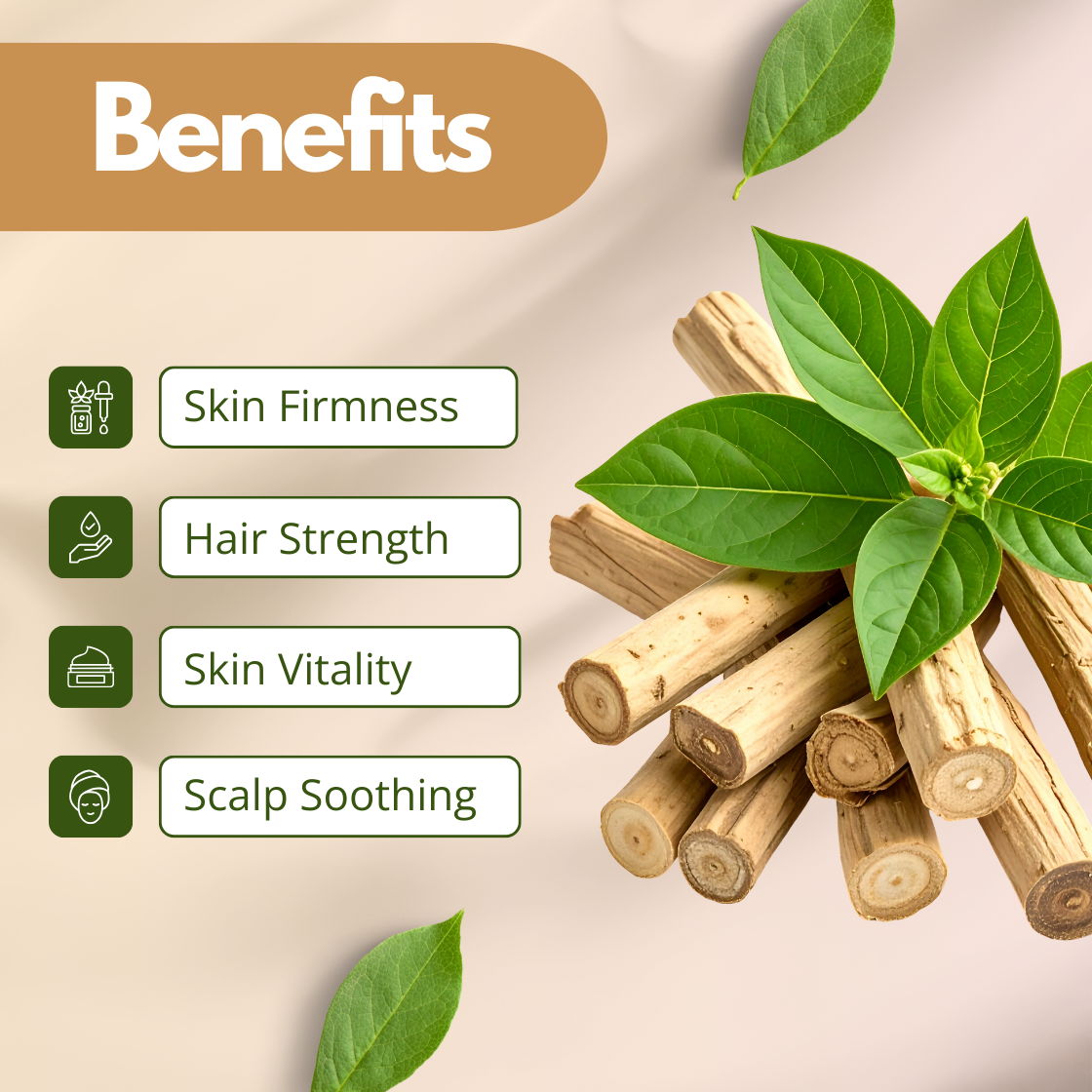 A visual representation of Ashwagandha Extract, showing a bundle of dried, light brown medicinal roots topped with a sprig of vibrant green leaves. The text highlights four primary benefits: Skin Firmness, Hair Strength, Skin Vitality and Scalp Soothing. The image conveys the earthy, grounding nature of this traditional Ayurvedic botanical extract.
