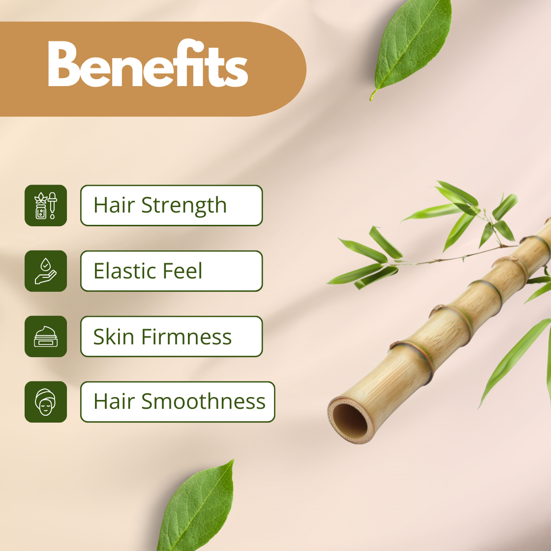 A minimalist and clean graphic for Bamboo Extract. It features a segment of a light brown bamboo stalk with delicate green leaves sprouting from the side. The listed benefits include Hair Strength, Elastic Feel, Skin Firmness and Hair Smoothness, highlighting the silica rich properties of this botanical extract for personal care.