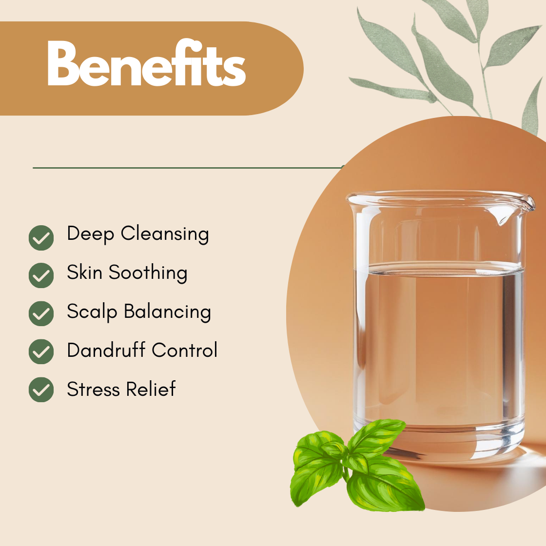 Benefits graphic with a clear liquid beaker and fresh basil leaves illustration. The text reads Deep Cleansing, Skin Soothing, Scalp Balancing, Dandruff Control, Stress Relief. This basil hydrosol benefits image presents it as a natural botanical toner for balancing oily skin and scalp.