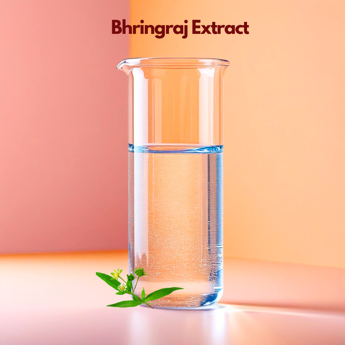 Bhringraj Extract