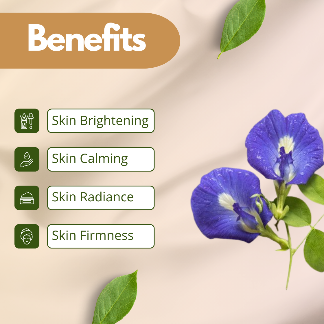 A striking visual for Blue Pea Extract, featuring two vivid, deep-blue butterfly pea flowers with soft white centers. The listed benefits are Skin Brightening, Skin Calming, Skin Radiance and Skin Firmness. The brilliant blue of the flowers highlights the natural pigments and calming properties of this botanical extract.