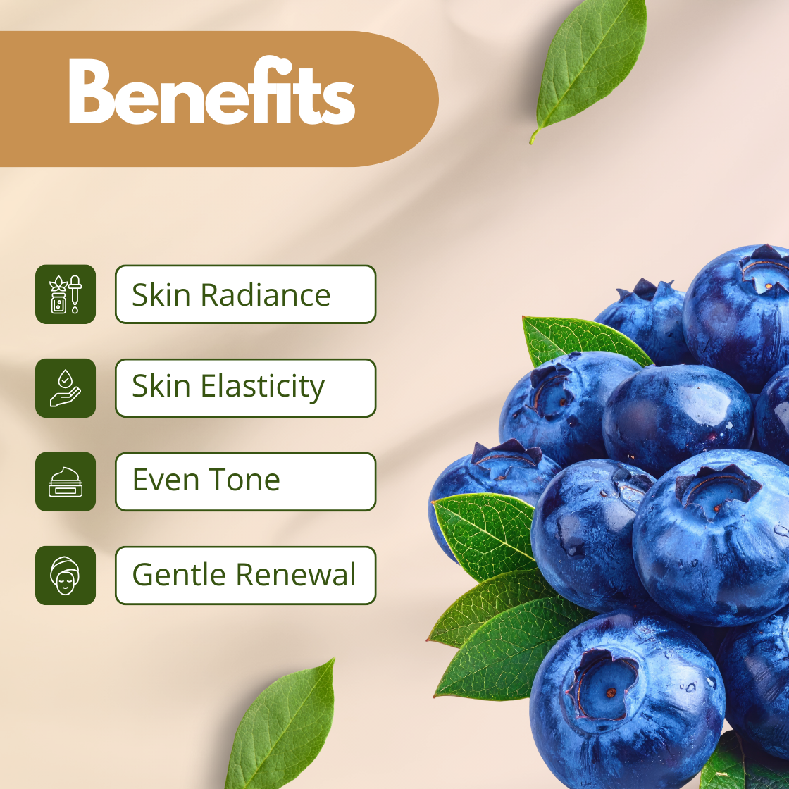 A lush graphic for Blueberry Extract showing a generous pile of plump, ripe, deep blue berries nestled among fresh green leaves. The benefits displayed are Skin Radiance, Skin Elasticity, Even Tone and Gentle Renewal. The image represents the antioxidant rich nature of this superfood botanical extract.