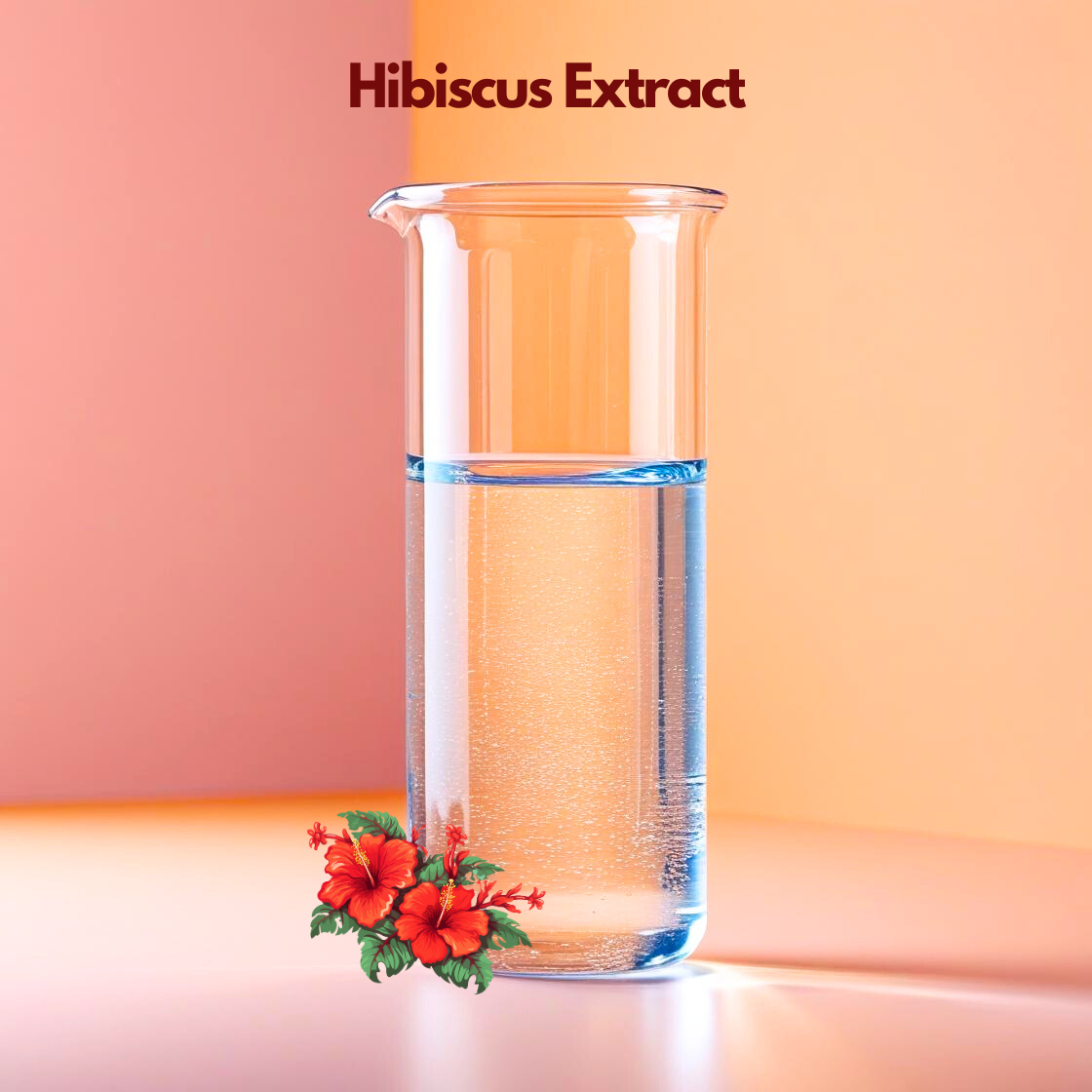 Hibiscus Extract