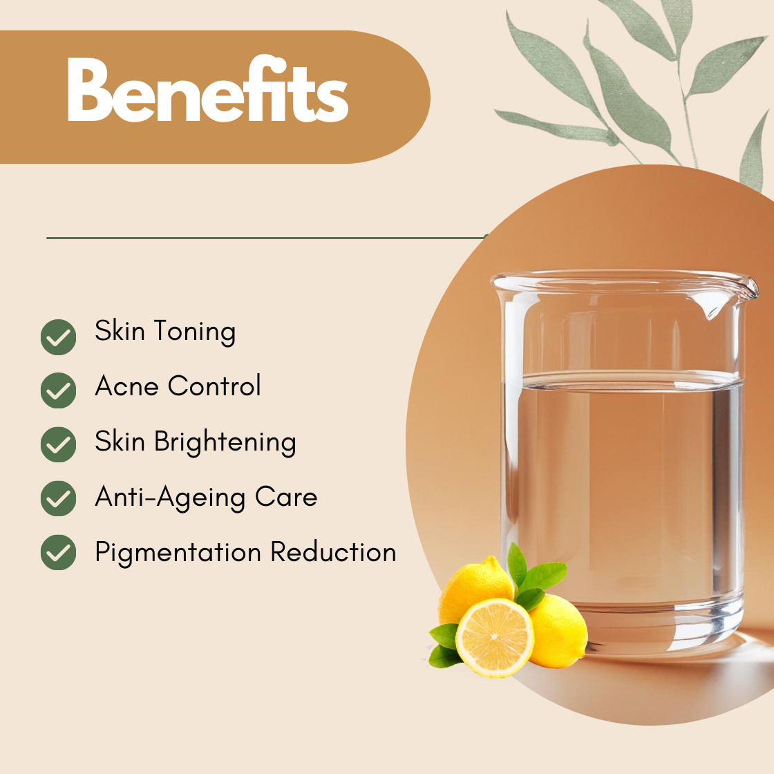 Benefits graphic with a glass beaker and lemon fruit illustration. The text reads Skin Toning, Acne Control, Skin Brightening, Anti Ageing Care, Pigmentation Reduction. This lemon hydrosol benefits image highlights its citrus floral water properties for brightening and clarifying skin.
