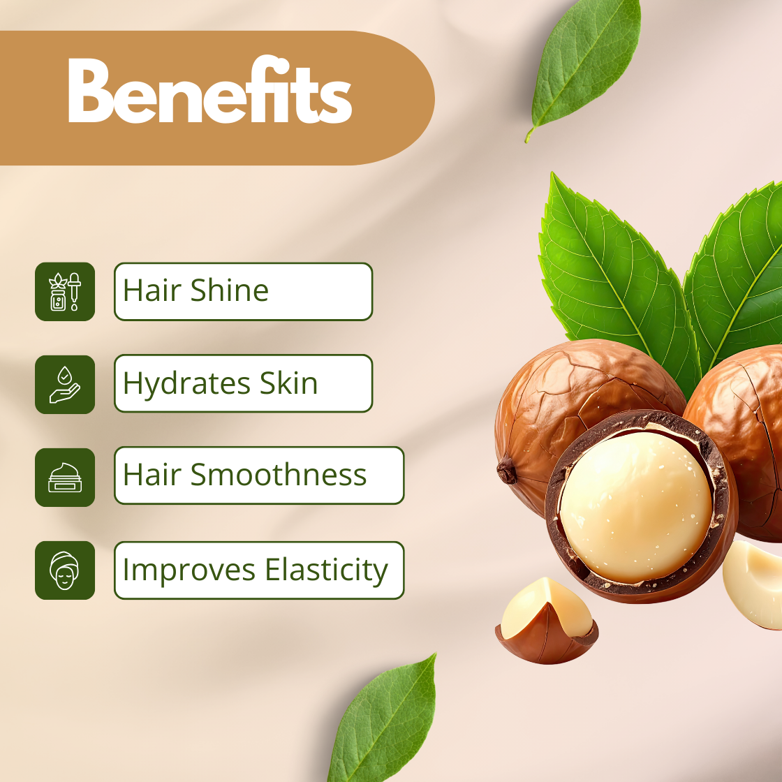 Image showing macadamia nuts with green leaves on the right. Text on the left lists benefits of macadamia carrier oil: Hair Shine, Hydrates Skin, Hair Smoothness, Improves Elasticity.