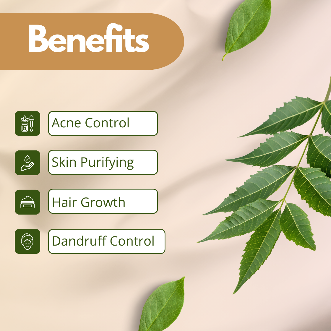 Image displaying benefits of neem oil with neem leaves with icons: Acne Control, Skin Purifying, Hair Growth, Dandruff Control. Upper left 'Benefits' title on a beige background.