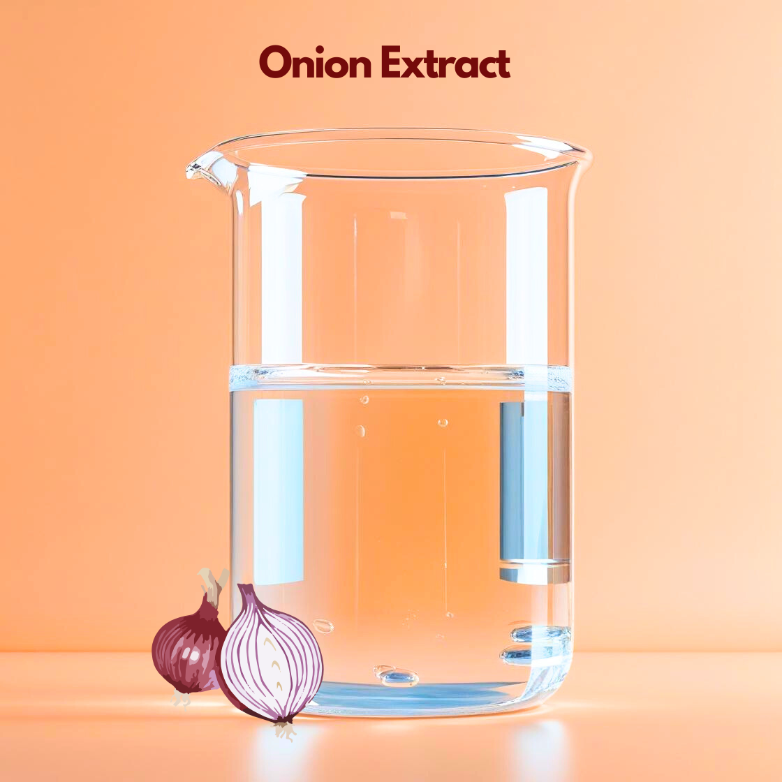 Onion Extract