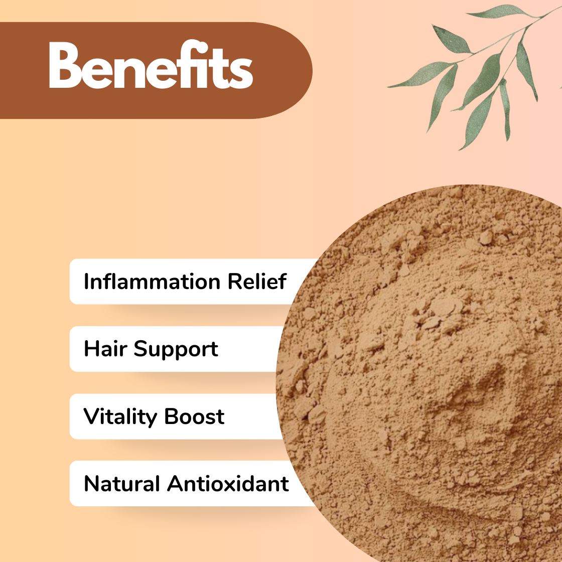 Benefits layout featuring a Punarnava herbal powder in detailed close view. The labels Inflammation Relief, Hair Support, Vitality Boost, and Natural Antioxidant position this plant based herbal powder as a strengthening Ayurvedic ingredient for scalp nourishment and antioxidant rich cosmetic blends.