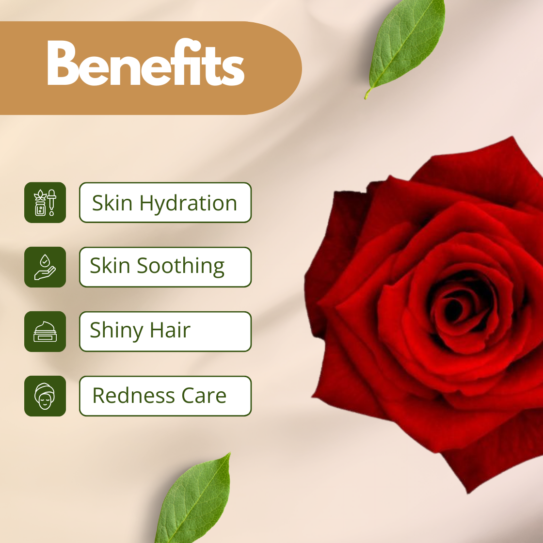 A romantic graphic for Rose Extract featuring a close up of a single, lush red rose in full bloom with velvety petals. The benefits displayed are Skin Hydration, Skin Soothing, Shiny Hair, and Redness Care. The image conveys the classic, calming and moisture rich essence of this floral botanical extract.