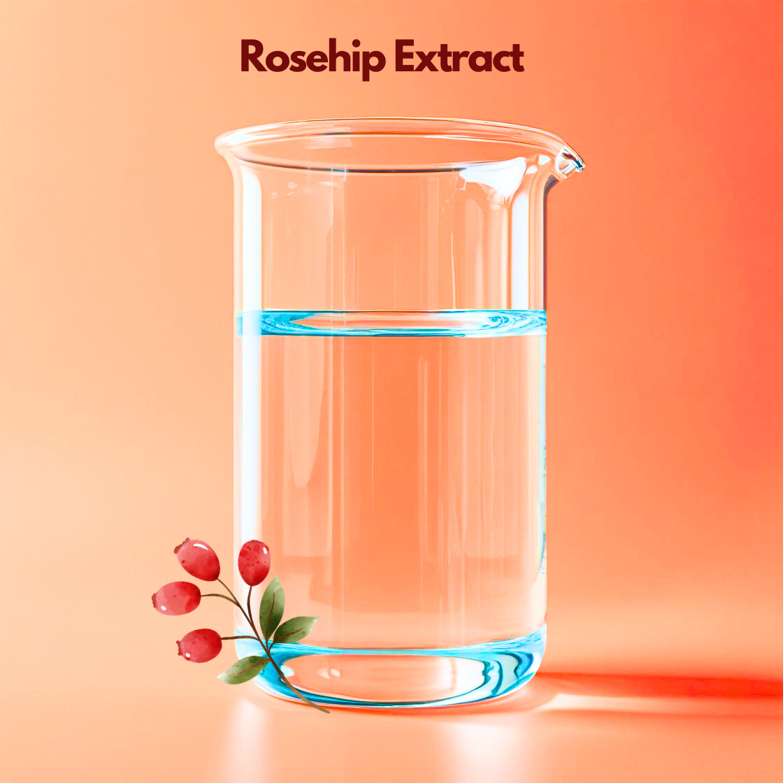 Rosehip Extract