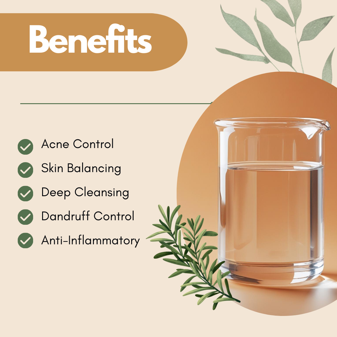 Benefits graphic featuring a beaker and rosemary sprig illustration. The text reads Acne Control, Skin Balancing, Deep Cleansing, Dandruff Control, Anti Inflammatory. This rosemary hydrosol benefits image presents it as a purifying botanical toner for oily skin and scalp care.