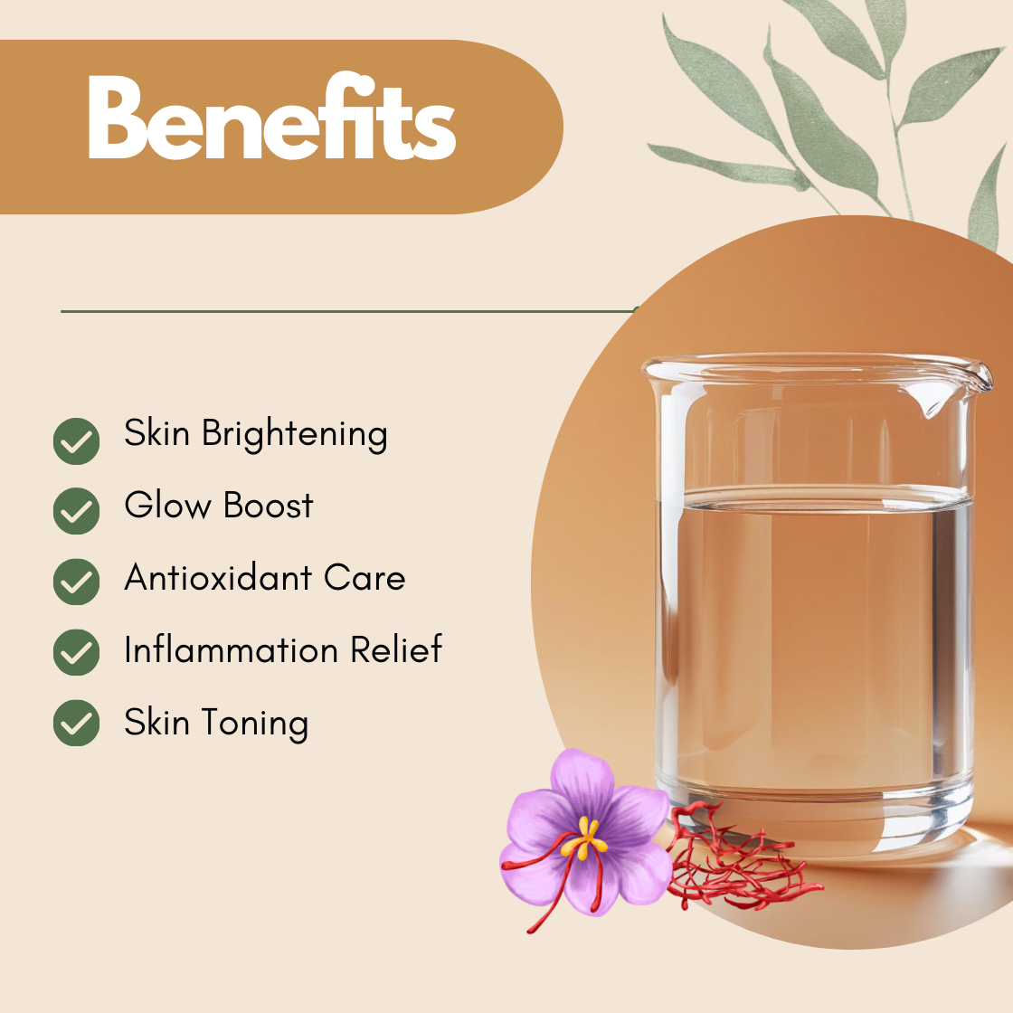 Benefits image showing a glass beaker with saffron flower and threads illustration. The text reads Skin Brightening, Glow Boost, Antioxidant Care, Inflammation Relief, Skin Toning. This saffron hydrosol benefits graphic emphasizes its brightening floral water for radiant skin.