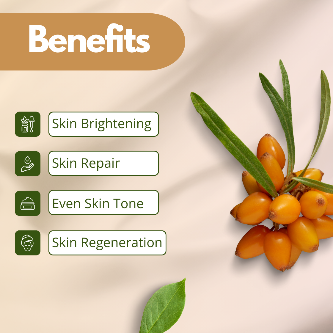 Orange sea buckthorn berries and green leaves are on a soft beige background. Text highlights benefits of Seabuckthorn oil: skin brightening, repair, even tone, regeneration.
