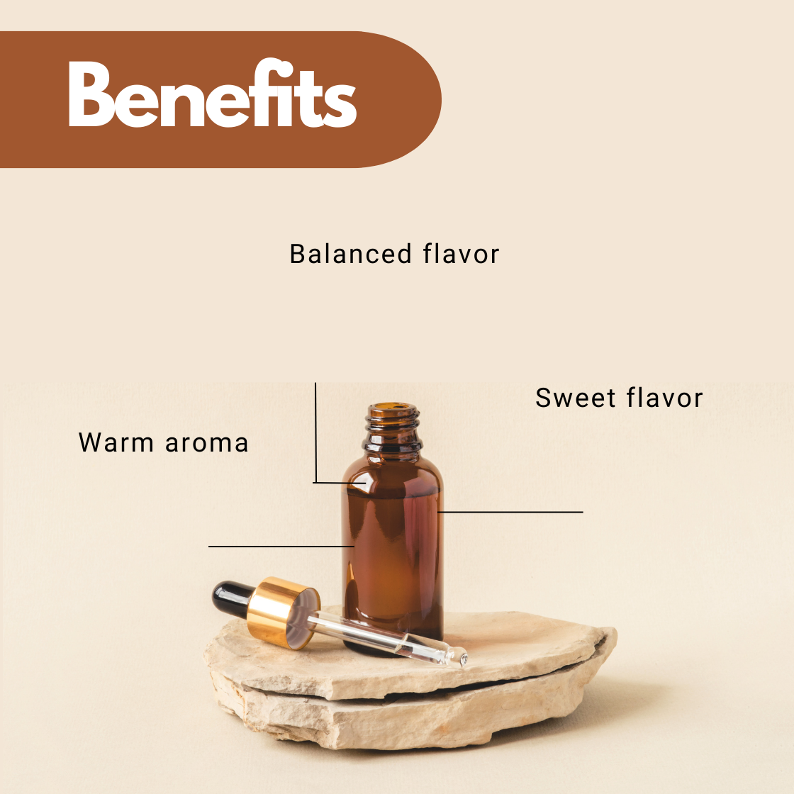 Brown bottle with dropper on stone slab, labeled "Benefits." Text notes of "Sweet Vanilla Lip Flavour Oil" "Balanced flavor," "Warm aroma," and "Sweet flavor" on a beige background.