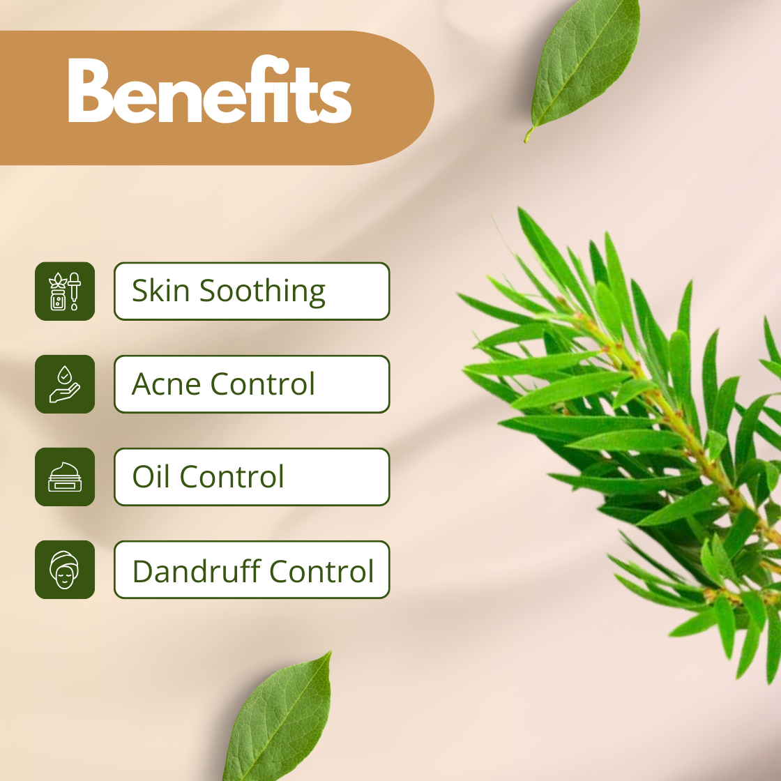 Benefits image of Tea Tree Extract showing fresh green tea tree leaves, emphasizing skin soothing, acne control, oil balance and dandruff control. Cosmetic grade tea tree botanical extract used in skincare and scalp formulations as a purifying active ingredient for acne prone skin and anti dandruff haircare products.