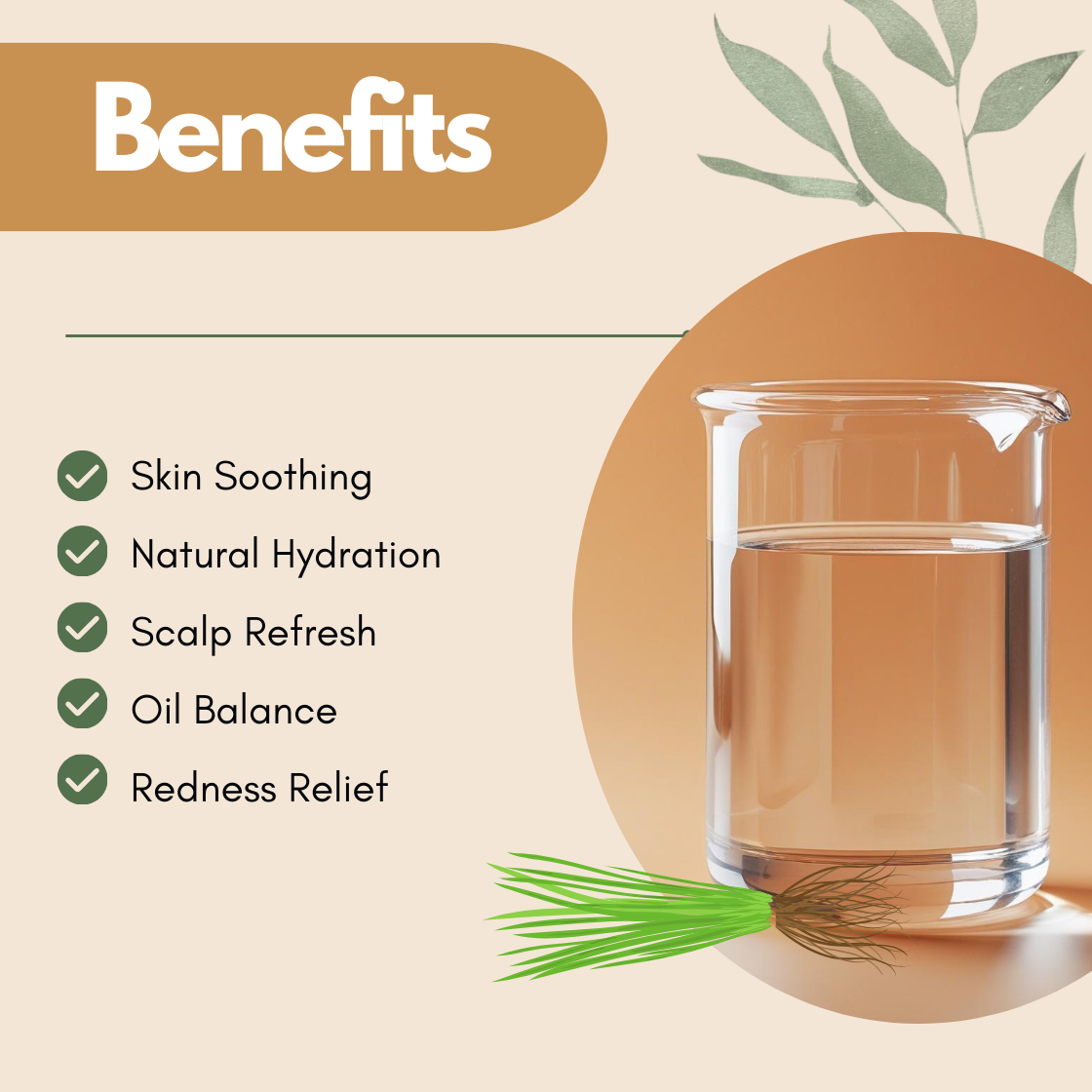 Benefits graphic with a glass beaker and vetiver root illustration. The text reads Skin Soothing, Natural Hydration, Scalp Refresh, Oil Balance, Redness Relief. This vetiver hydrosol benefits image showcases its grounding floral water for calming and balancing skin.
