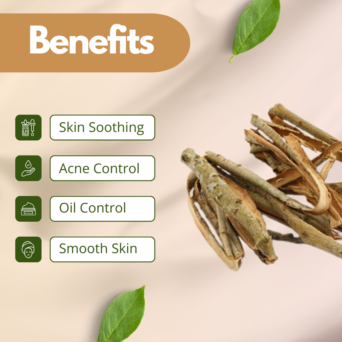 A botanical skincare graphic for Willow Bark Extract featuring a bundle of dried, light brown willow bark strips and pieces. The benefit list on the left includes: Skin Soothing, Acne Control, Oil Control and Smooth Skin. The image is set against a clean, neutral beige background with a soft leaf shadow, emphasizing the natural and benefits of this cosmetic grade extract.