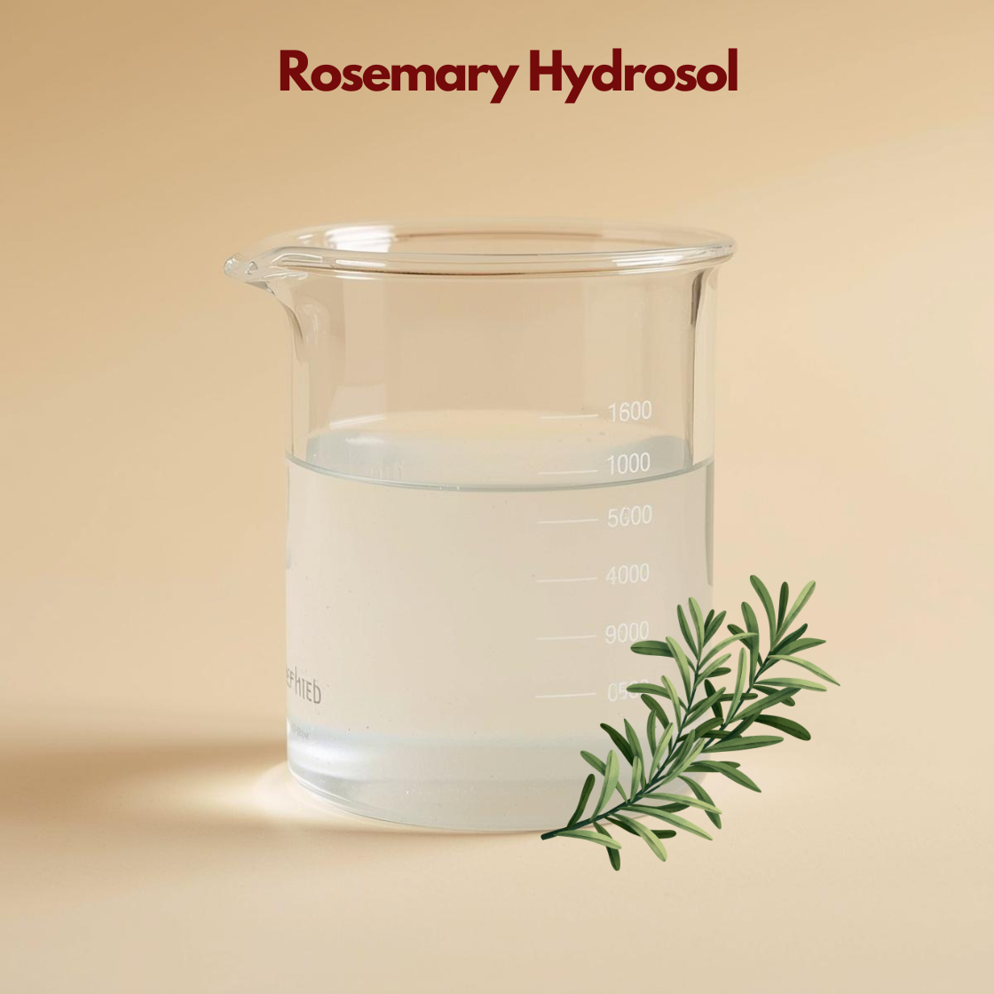 Laboratory beaker containing clear liquid labeled Rosemary Hydrosol with a fresh rosemary sprig illustration at the base. This rosemary hydrosol botanical facial mist highlights its purifying and balancing skincare benefits.