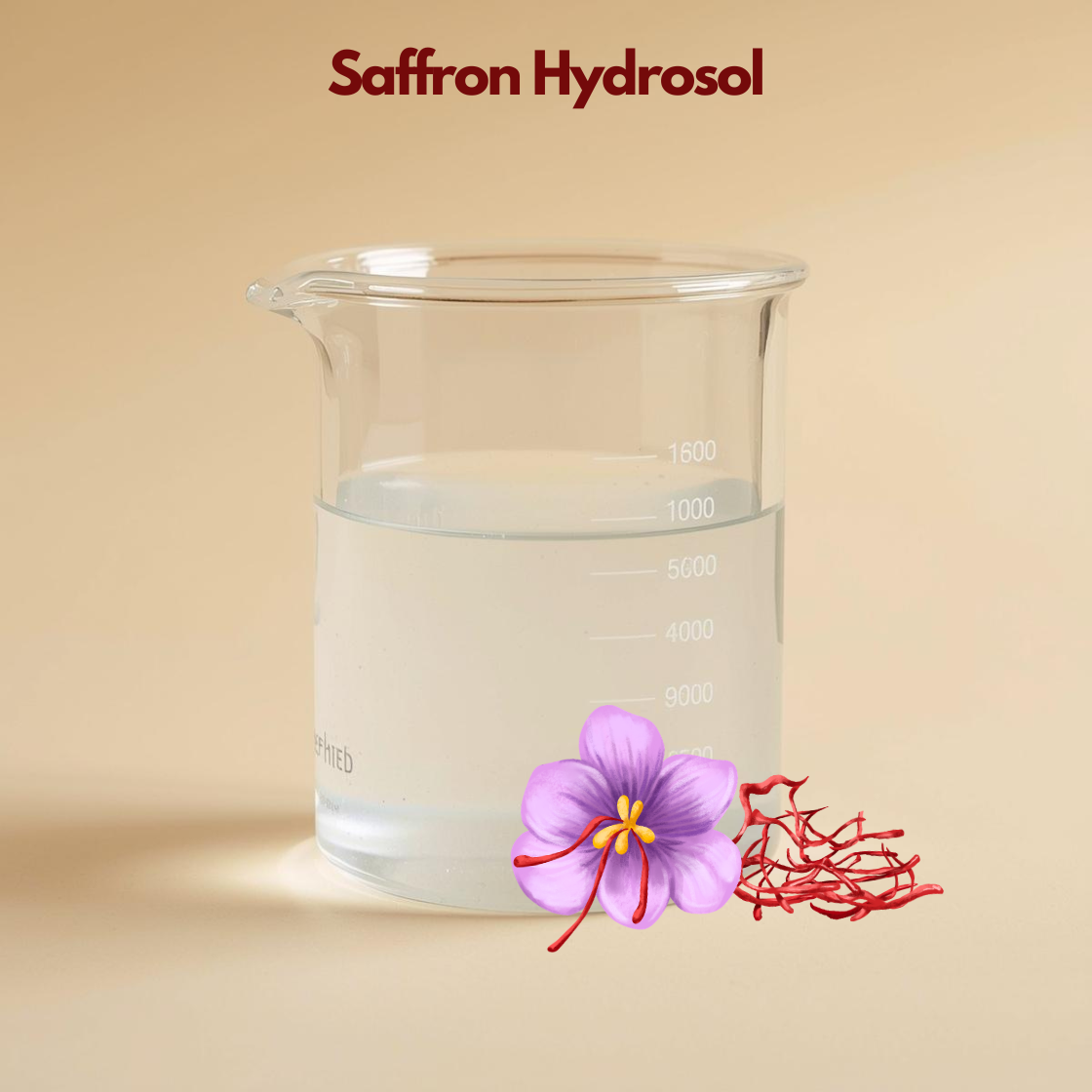 Clear liquid in a glass beaker labeled Saffron Hydrosol with a purple saffron flower and red saffron threads illustrated at the bottom. This saffron hydrosol floral water is shown as a brightening and revitalizing skincare mist.