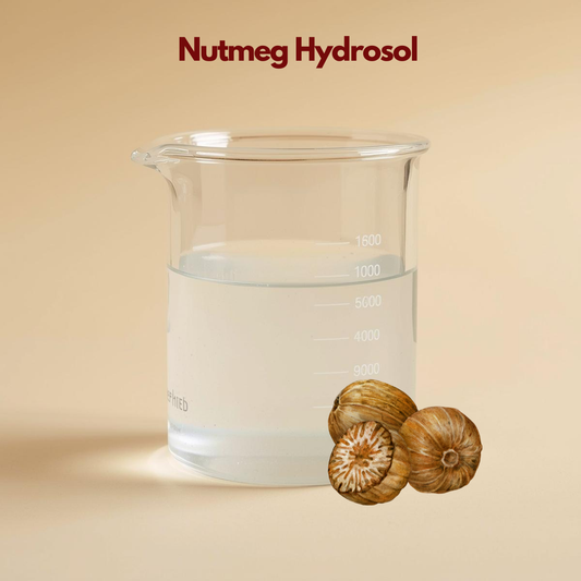 Laboratory beaker with clear liquid labeled Nutmeg Hydrosol accompanied by whole and sliced nutmeg illustrations. This nutmeg hydrosol botanical water highlights warming and revitalizing skincare properties.