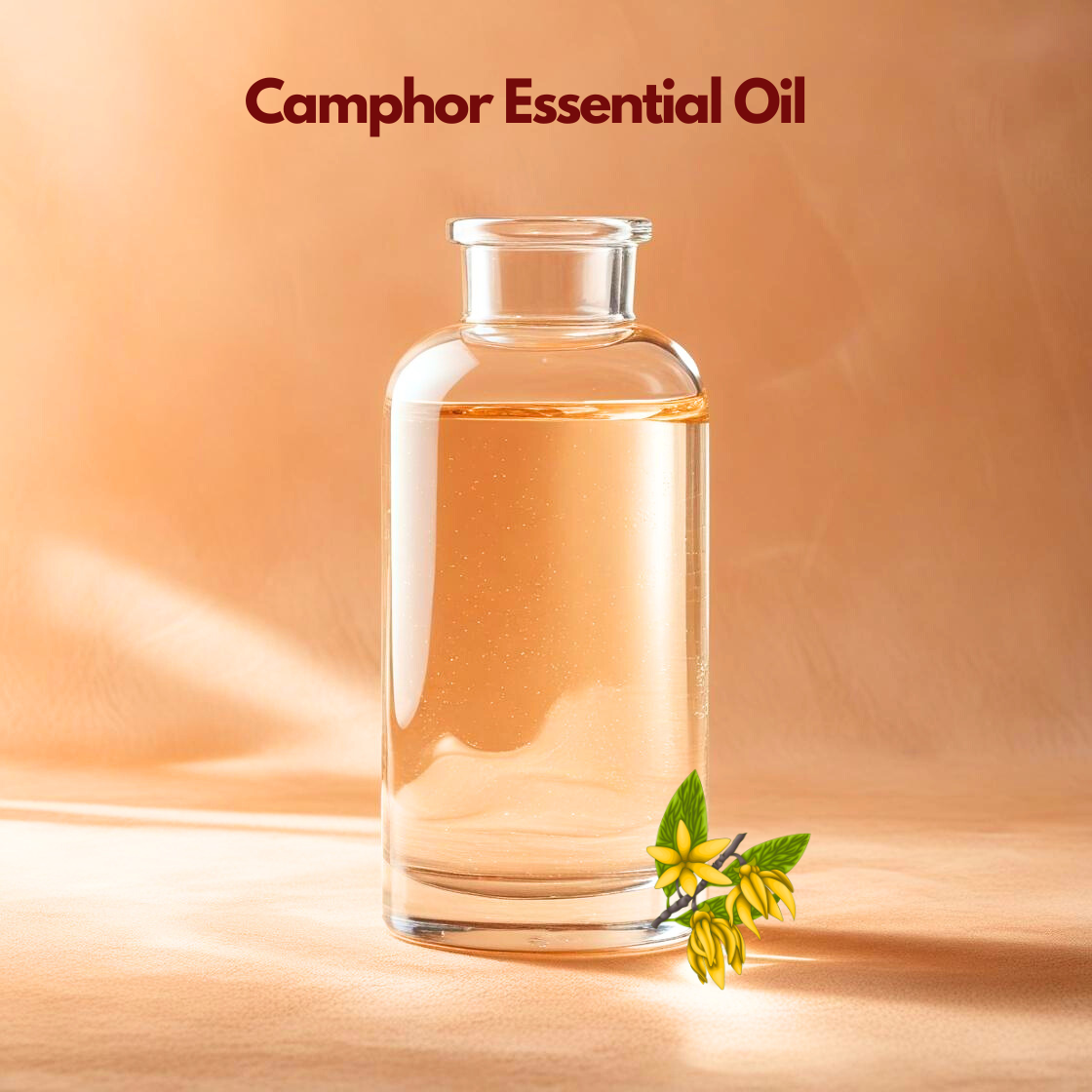 Cosmetic grade Camphor Essential Oil in a transparent glass bottle, suitable for personal care and topical formulation applications.