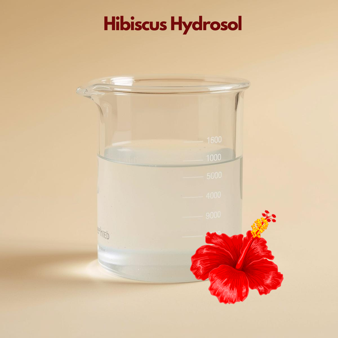 Beaker filled with transparent liquid labeled Hibiscus Hydrosol featuring a vibrant red hibiscus flower illustration. This hibiscus hydrosol botanical toner is presented as a hydrating and glow enhancing facial mist.