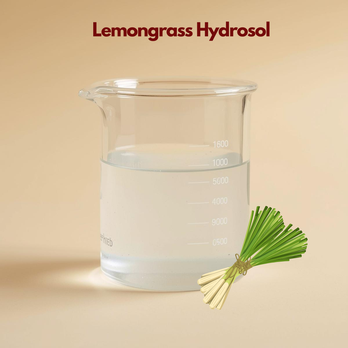 Glass beaker containing clear liquid labeled Lemongrass Hydrosol with bundled lemongrass stalks illustrated at the bottom. This lemongrass hydrosol floral water suggests refreshing and balancing skincare benefits.