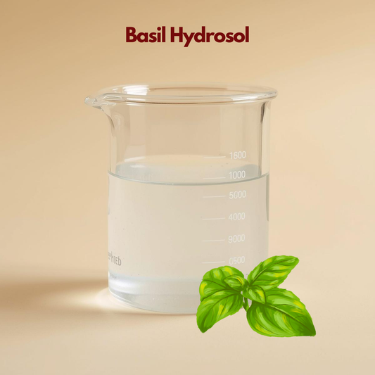 Clear liquid in a laboratory beaker labeled Basil Hydrosol with fresh green basil leaves illustrated in the corner. This basil hydrosol botanical facial mist highlights purifying and revitalizing skin benefits.