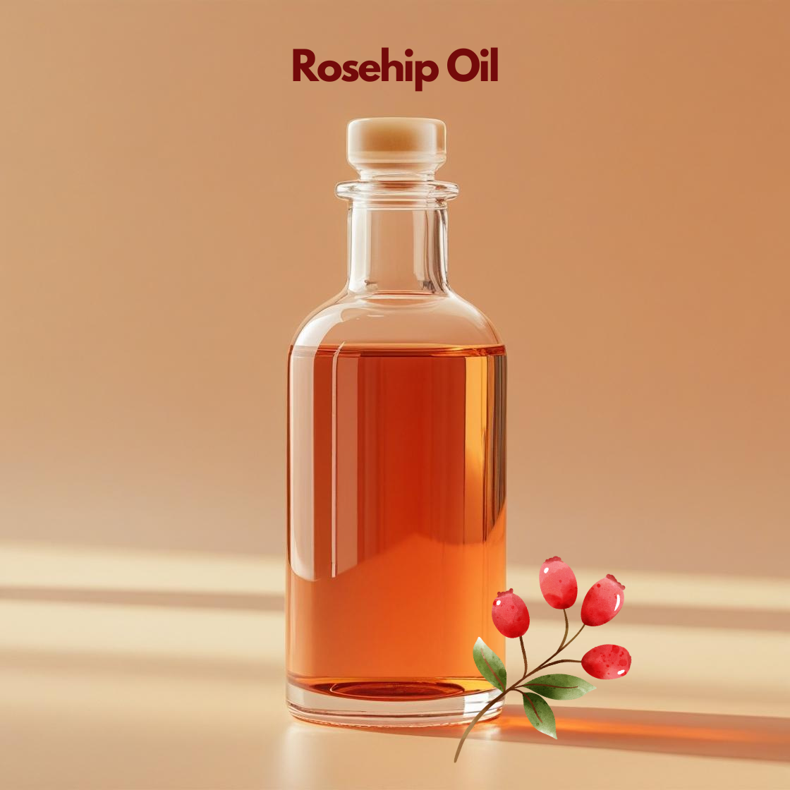 Rosehip seed oil in transparent glass bottle with rosehip berries, rejuvenating carrier oil from our carrier oil collection ideal for scar treatments, facial serums, and anti-aging skincare.
