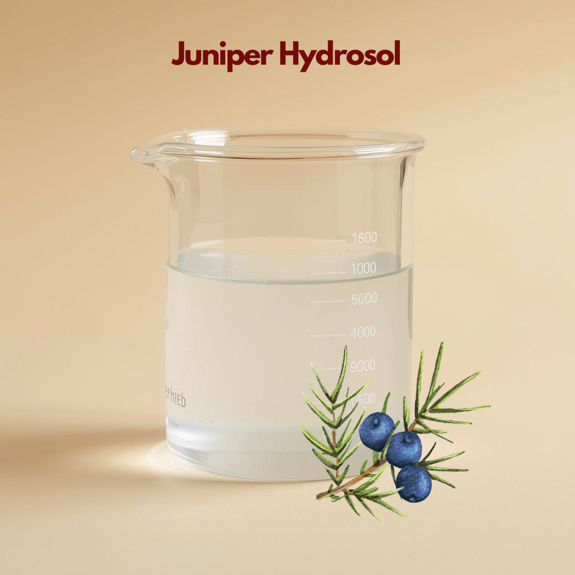 Beaker filled with transparent liquid labeled Juniper Hydrosol with illustrated juniper berries and needles. This juniper hydrosol floral water is presented as a clarifying and balancing skincare mist.