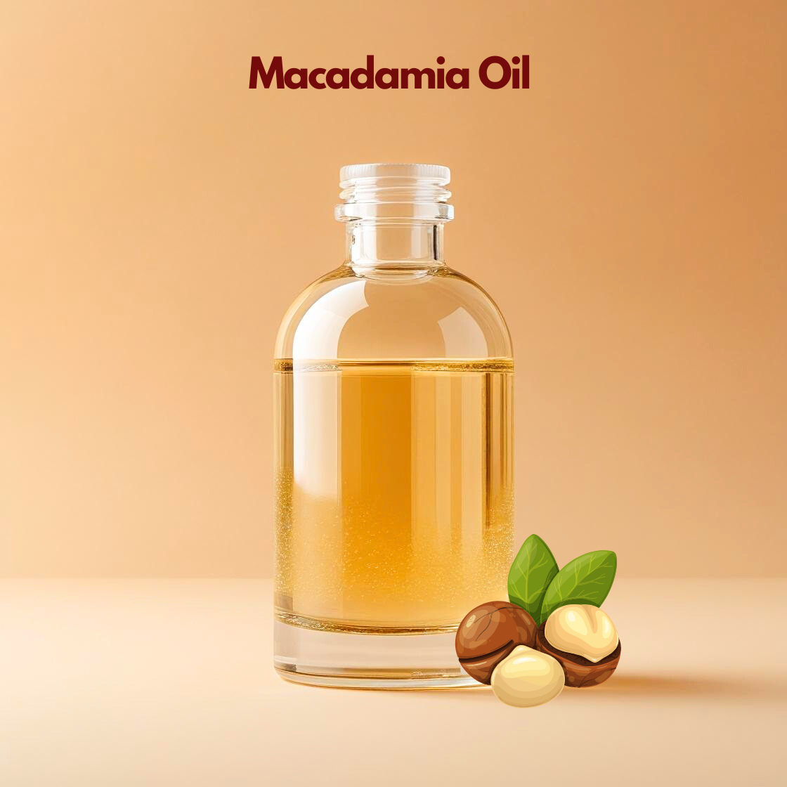 Macadamia oil in clear bottle with macadamia nuts and green leaves, lightweight fast absorbing carrier oil from our carrier oil collection ideal for facial oils, anti aging serums, and premium skincare formulations.
