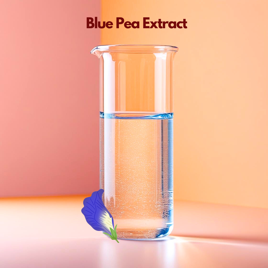 Product image of Blue Pea Extract featuring a transparent cosmetic grade liquid extract in a glass beaker with a blue butterfly pea flower at the base, displayed on a soft peach background. Botanical blue pea extract used in skincare and haircare formulations for antioxidant support, color-enhancing applications and natural cosmetic formulations.