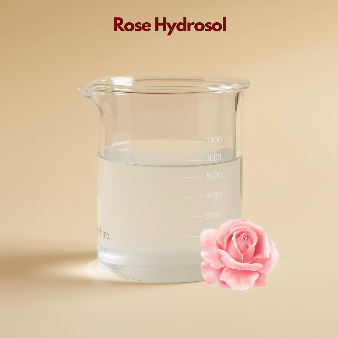 Laboratory beaker with clear liquid labeled Rose Hydrosol featuring a soft pink rose illustration. This rose hydrosol floral water is shown as a hydrating and soothing botanical facial mist.