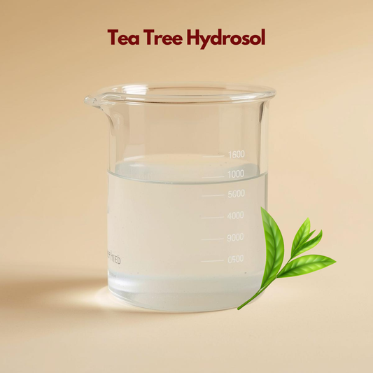 Clear liquid in a glass beaker labeled Tea Tree Hydrosol with green tea tree leaves illustrated. This tea tree hydrosol botanical toner highlights clarifying and purifying skincare properties.