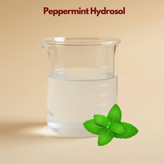 Glass beaker containing clear liquid labeled Peppermint Hydrosol with fresh green peppermint leaves illustrated. This peppermint hydrosol botanical facial mist emphasizes cooling and refreshing skincare properties.