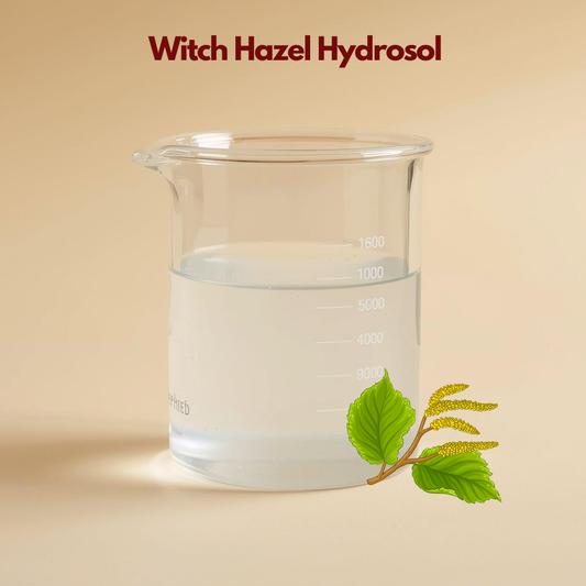 Laboratory beaker filled with clear liquid labeled Witch Hazel Hydrosol with illustrated witch hazel leaves and yellow blossoms. This witch hazel hydrosol floral water is presented as a balancing and toning facial mist.