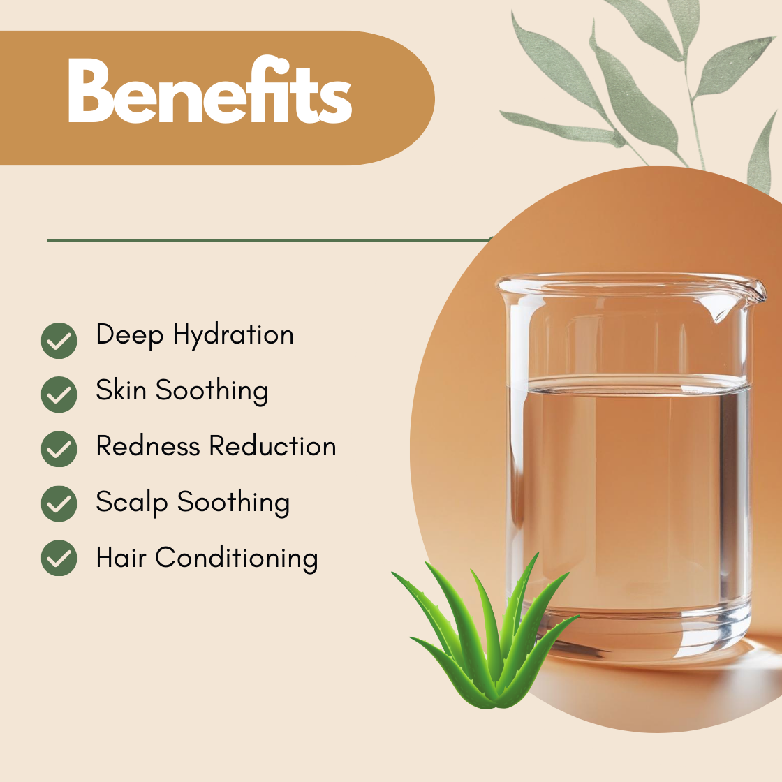 Graphic titled Benefits showing a glass beaker filled with clear liquid and an aloe vera plant illustration at the bottom. The text reads Deep Hydration, Skin Soothing, Redness Reduction, Scalp Soothing, Hair Conditioning. This aloe vera hydrosol benefits image highlights its role as a hydrating botanical facial mist for soothing skin and scalp care.