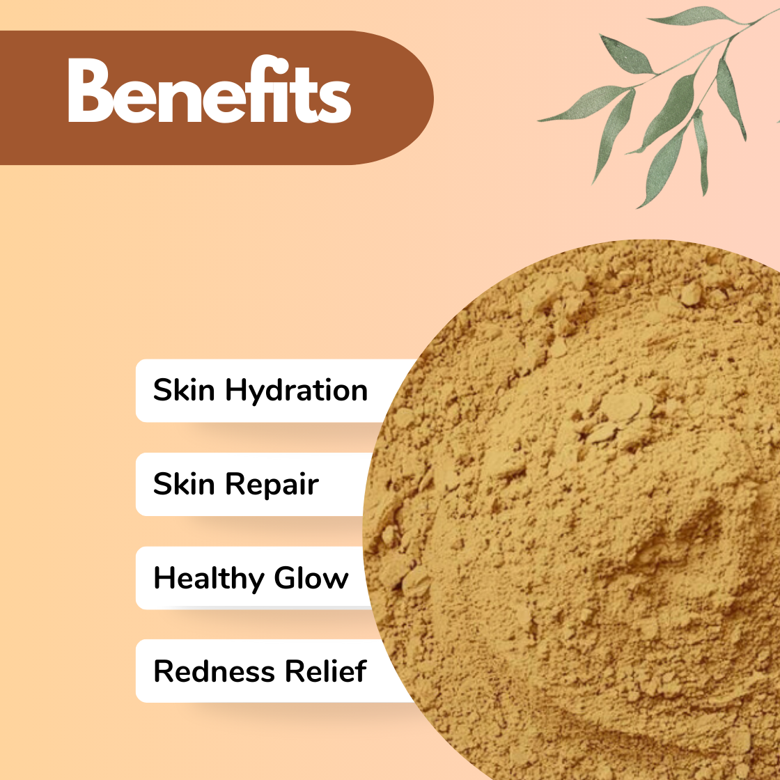 Promotional benefits image of natural herbal powder showing close up beige botanical powder texture inside a circular frame on soft peach background, with listed benefits including Skin Hydration, Skin Repair, Healthy Glow, and Redness Relief. Aloe Vera herbal powder used in face packs and skincare formulations for soothing, moisturizing and repairing skin naturally.