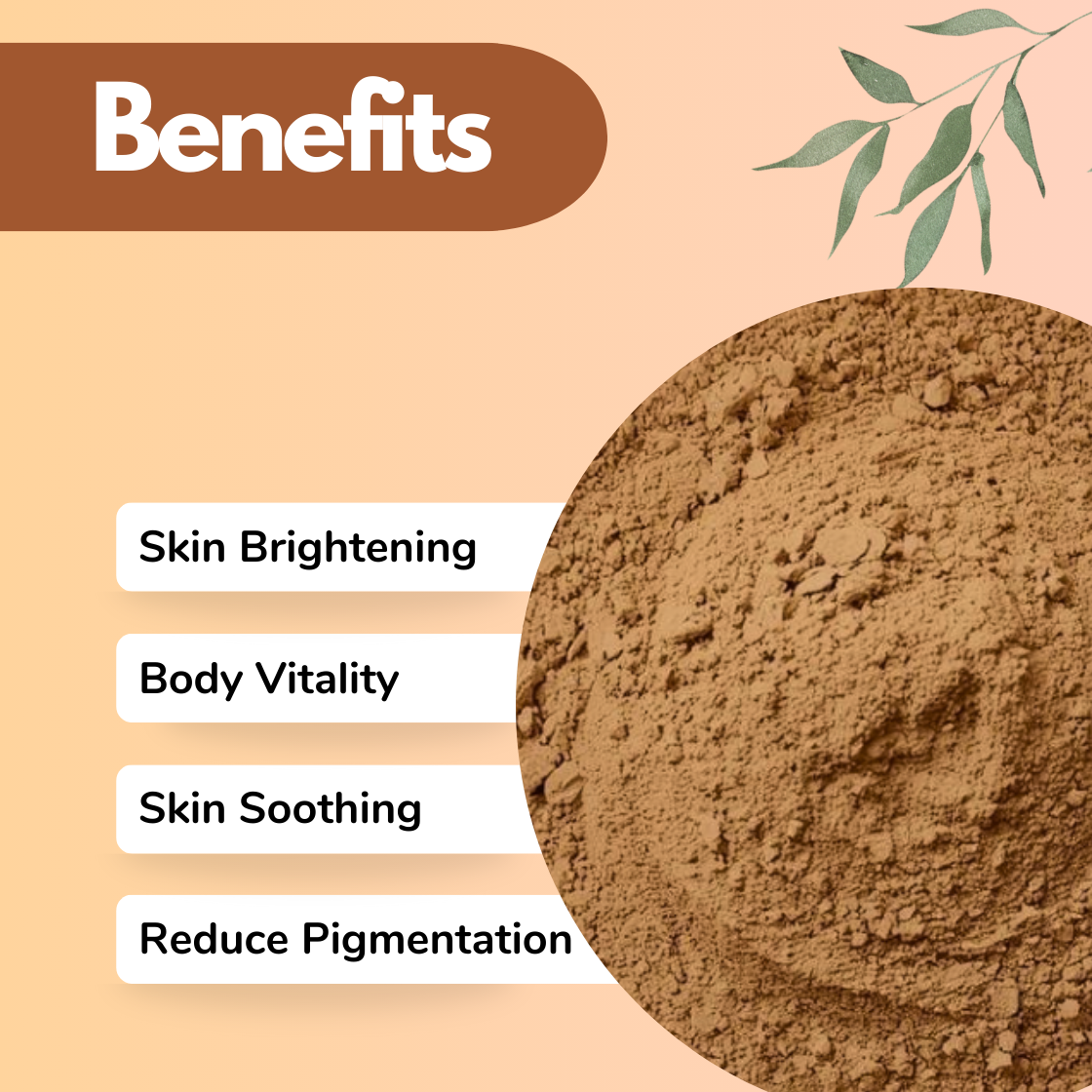 Ashok Chal Herbal cosmetic powder benefits graphic showing brown finely milled powder with Skin Brightening, Body Vitality, Skin Soothing and Reduce Pigmentation text. Ayurvedic herbal powder used in traditional beauty masks and full body skincare applications.