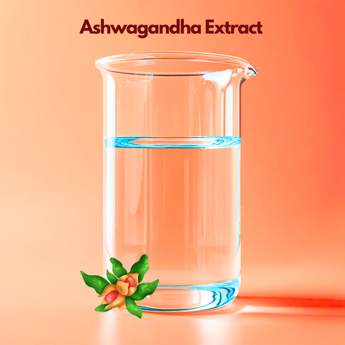 A clear glass beaker containing transparent liquid is displayed on a peach gradient background labeled “Ashwagandha Extract,” with green leaves and orange berries at the base. This cosmetic grade extract is used in skincare and haircare formulations for antioxidant support, soothing properties and strengthening natural cosmetic products.