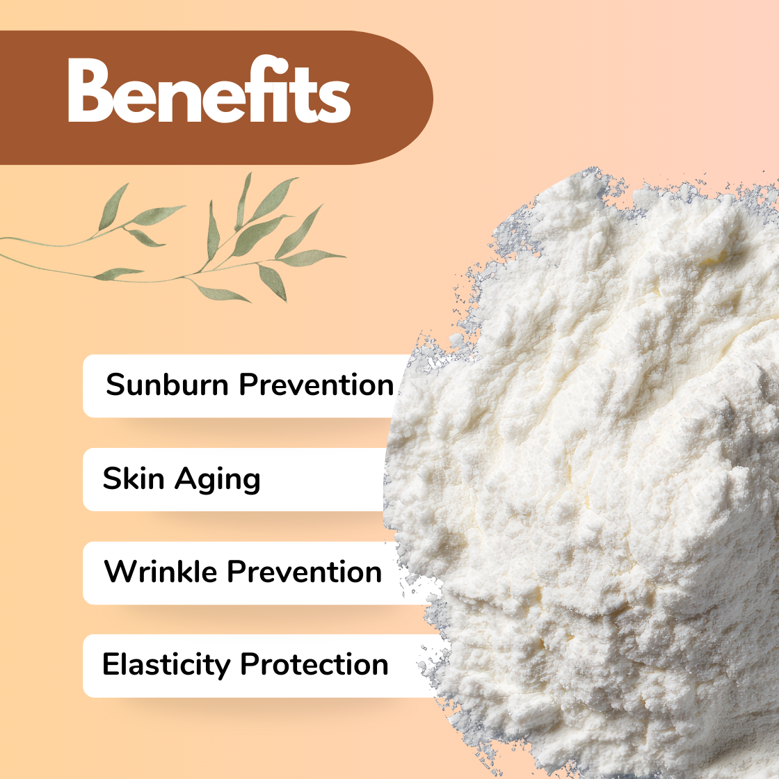 Cosmetic "Avobenzone" ingredient benefits infographic displaying white powder used in advanced skincare formulations. The graphic lists Sunburn prevention support, protection against Skin Aging, Wrinkle Prevention and Elasticity Protection. This cosmetic raw material is widely used in sunscreen formulations, anti aging creams and protective skincare products.