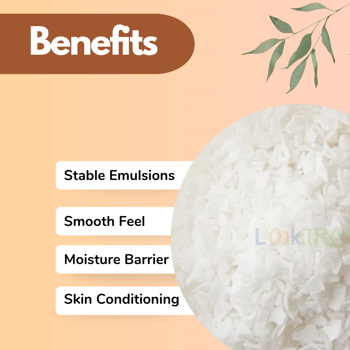 Infographic showing "Stearic Acid" used in cosmetic formulations with benefits including Stable Emulsions, Smooth Feel, Moisture Barrier and Skin Conditioning. Stearic Acid is a fundamental cosmetic raw material used in creams, lotions, skincare formulations and cosmetic manufacturing effectively.