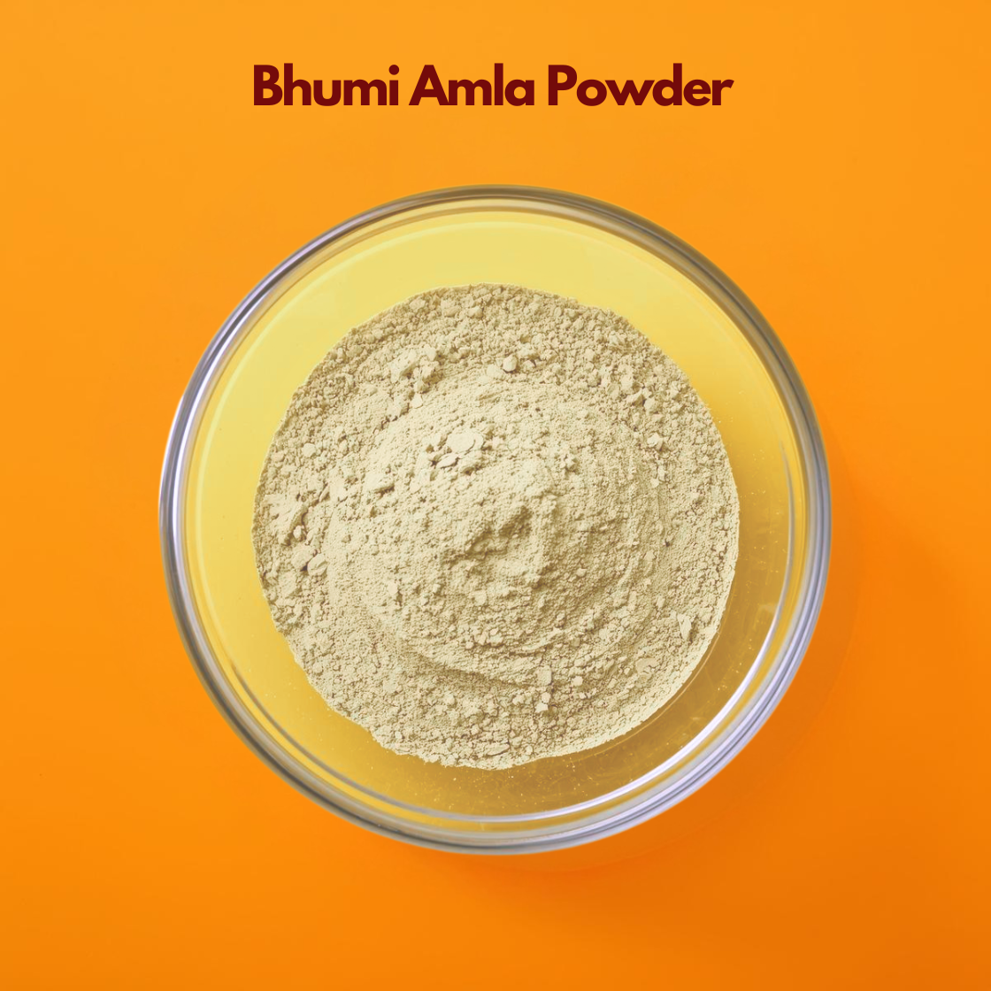 Bhumi Amla powder in a glass bowl, natural Ayurvedic herb powder used for skin care, hair care, detox formulations, and herbal cosmetic products, ideal for DIY face packs and scalp treatments.