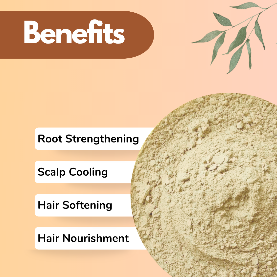 Bhumi Amla Powder Natural Herbal Powder for Hair Root Care & Scalp Health | Benefits image featuring fine pale olive green leave in background Phyllanthus niruri powder in a large circular bowl on a peach background with botanical leaf decoration. Bhumi Amla powder is a traditional herb used in natural hair treatment recipes, herbal hair oil blends, and organic hair care formulations. Benefits displayed: Root Strengthening, Scalp Cooling, Hair Softening, and Hair Nourishment. Great for hair care products