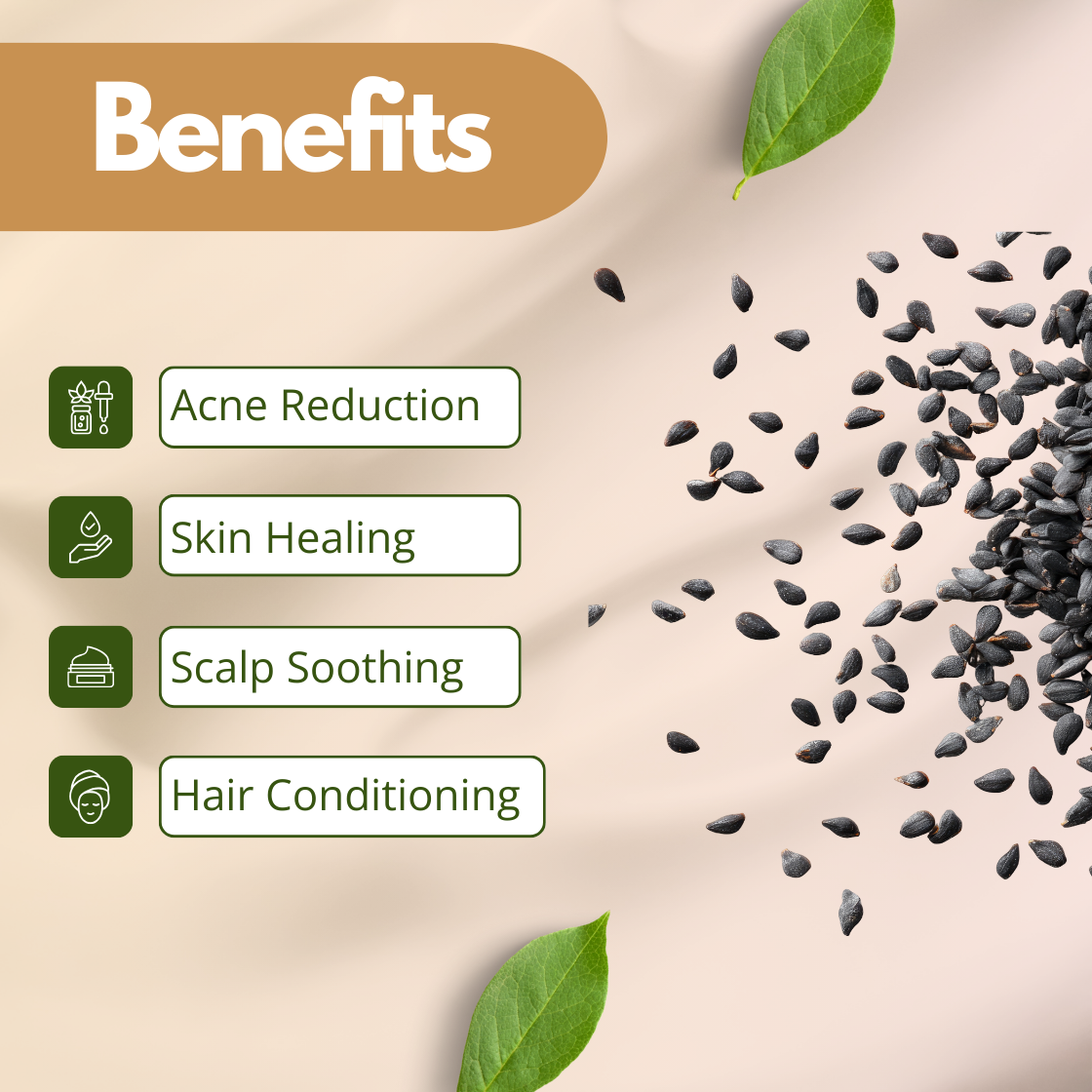 Pure cold pressed black seed oil with black seeds, natural carrier oil for acne-prone skincare, scalp care and herbal cosmetic formulations.
