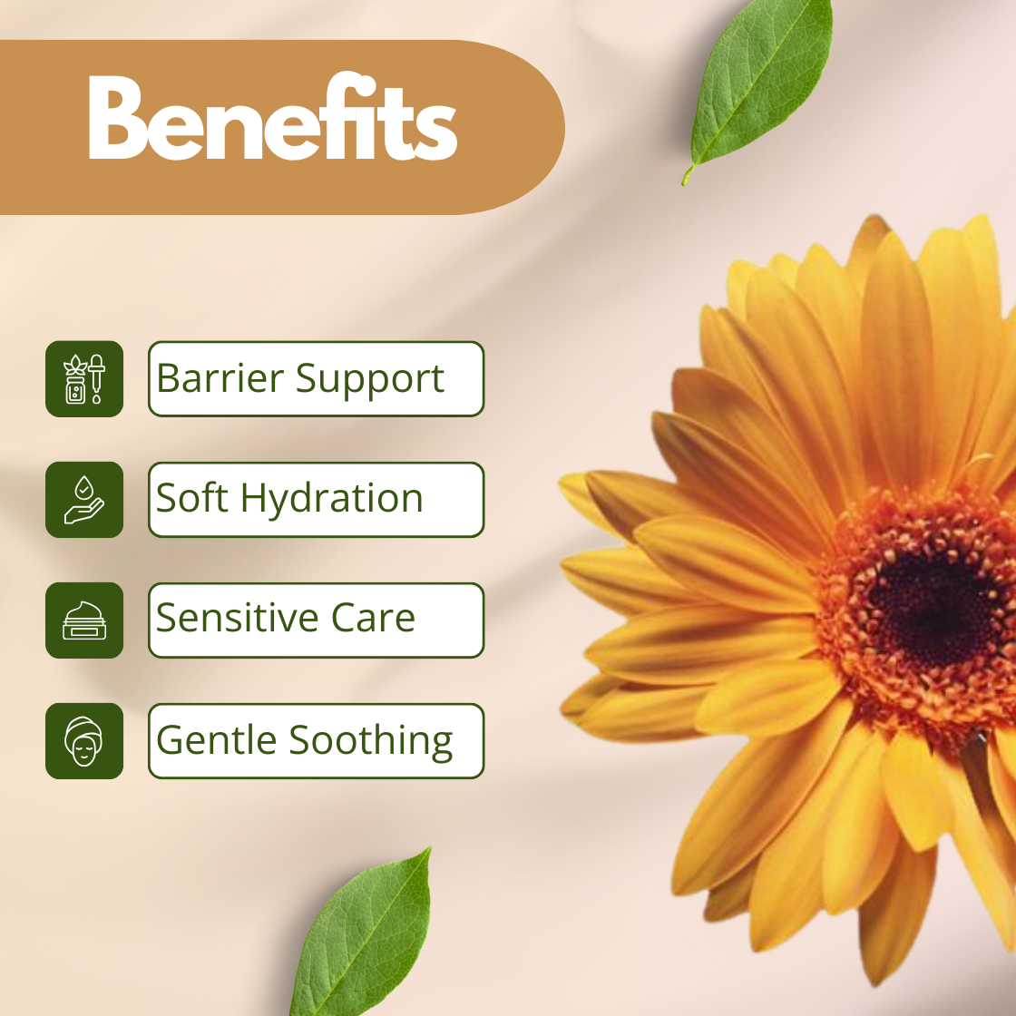 A warm and inviting graphic for Calendula Extract, featuring a large, fully bloomed orange yellow Marigold flower with intricate, layered petals. The key benefits listed are Barrier Support, Soft Hydration, Sensitive Care and Gentle Soothing. This visual highlights the gentle, healing nature of this botanical extract for sensitive skin.