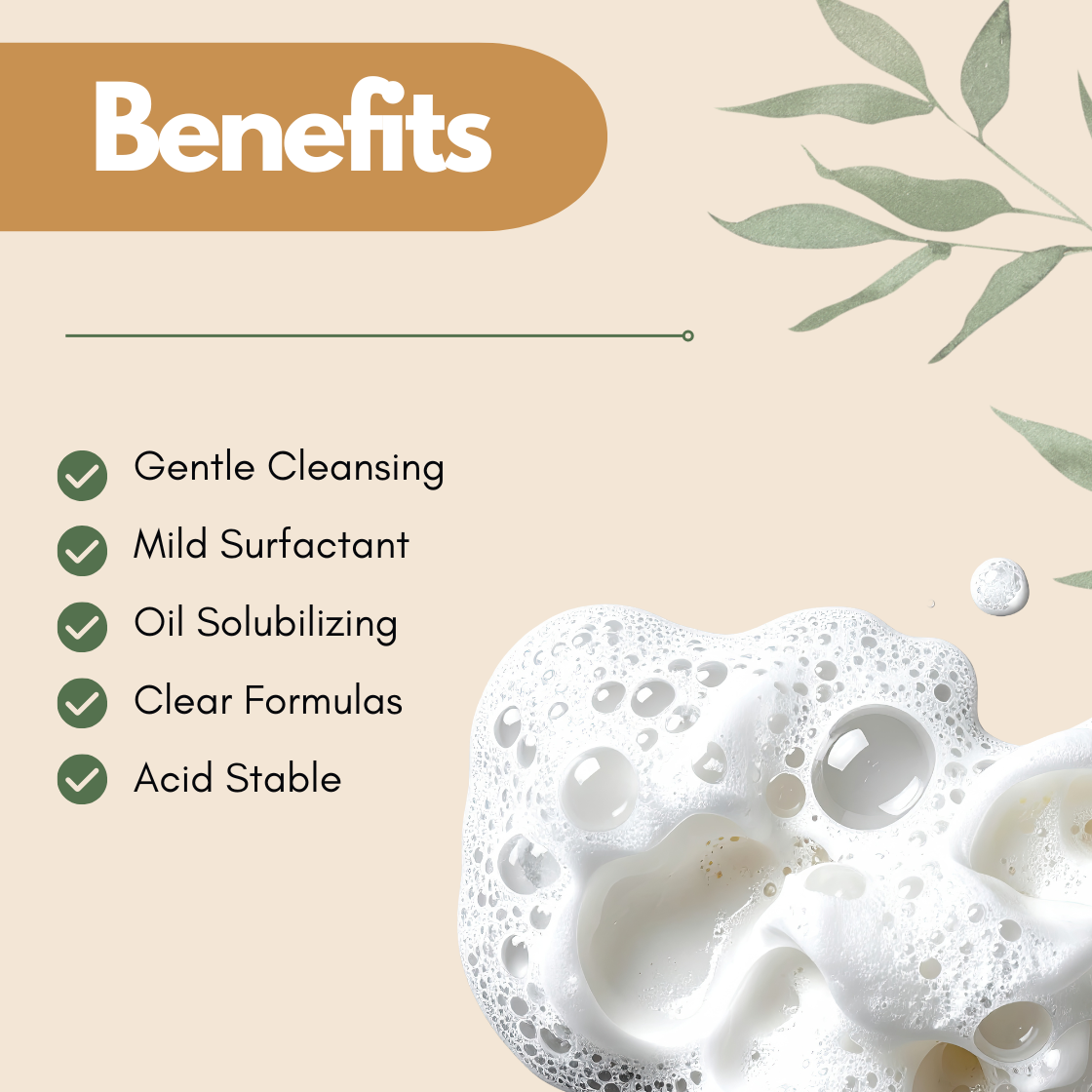 Graphic highlighting 'Benefits' of Capryl Caprylyl Glucoside in white text on brown. Lists: Gentle Cleansing, Mild Surfactant, Oil Solubilizing, Clear Formulas, Acid Stable. Foam bubbles and green leaves accentuate the design.