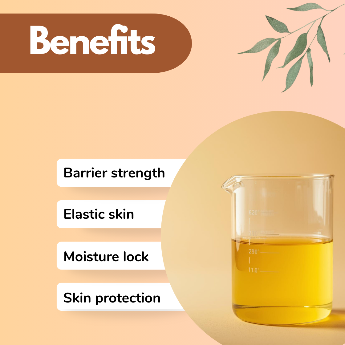 A clear laboratory beaker filled with bright golden yellow liquid sits on the right side of a soft beige background within a circular frame. The liquid appears smooth and luminous. On the left, benefits read: Barrier Strength, Elastic Skin, Moisture Lock, and Skin Protection. Subtle botanical accents enhance the natural cosmetic feel. This image illustrates a barrier repair active Ceramide Complex ingredient used in skincare formulations for moisture retention and skin protection.