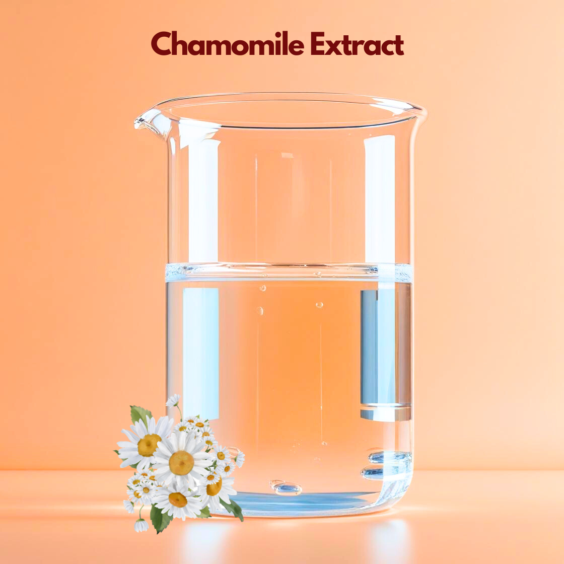 Chamomile Extract