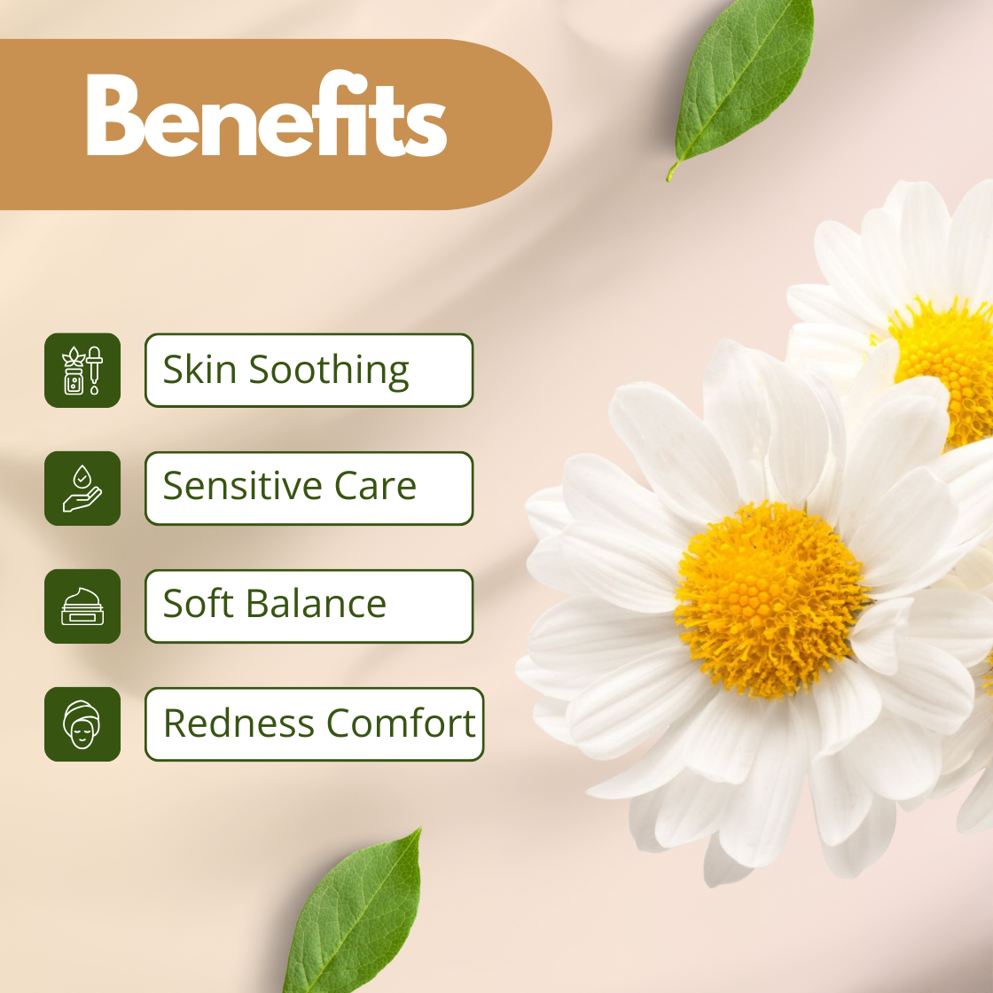 Benefits image of Chamomile Extract featuring white chamomile flowers with yellow centers, emphasizing skin soothing, sensitive care, soft balance and redness comfort. Cosmetic grade chamomile botanical extract widely used in skincare formulations for calming sensitive skin, reducing irritation and supporting gentle cosmetic applications.